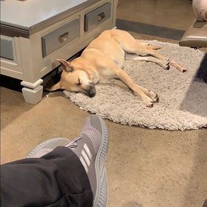 Meet your Posher, Sonia